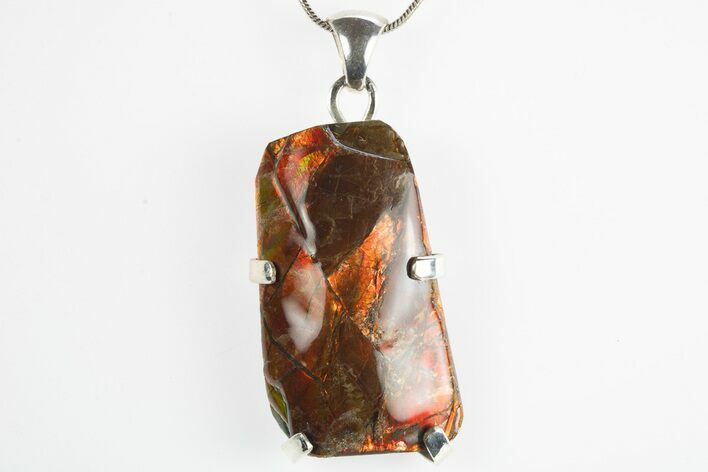Brilliant Ammolite Pendant (Necklace) - Alberta, Canada #315391
